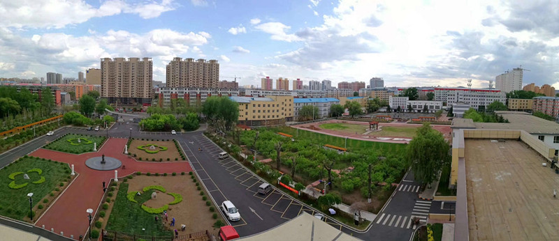 黑龙江高等幼儿师范学院绿化养护工程